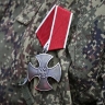 «Тупорылое животное». Российский чиновник матом высказался о матери погибшего бойца СВО