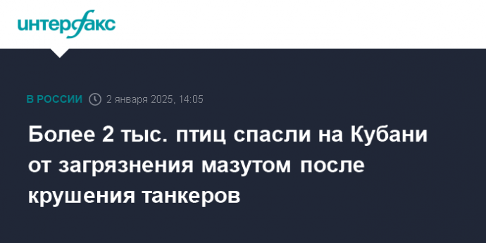 Более 2 тыс. птиц спасли на Кубани от загрязнения мазутом после крушения танкеров