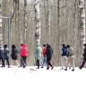 Десять шагов к мужскому здоровью и долголетию
