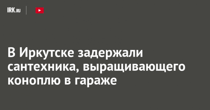 В Иркутске задержали сантехника, выращивающего коноплю в гараже
