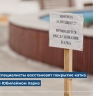 В Юбилейном парке в Ярославле специалисты восстановят покрытие катка