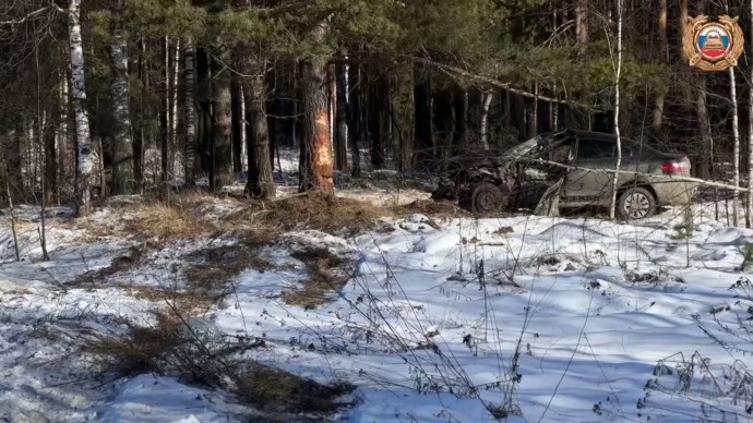 Съехал в кювет и врезался в дерево: в Ярославском округе в ДТП погиб водитель «Рено»