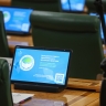 Карелова: 32 проекта Совета ЕЖФ в 2024 году охватили 15 млн человек