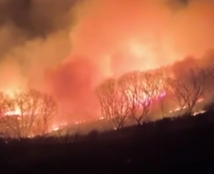 Мощный пожар произошел в Приморье