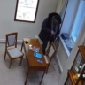 Вор-рецидивист, обокравший ювелирный салон в Питере, попался в Подмосковье