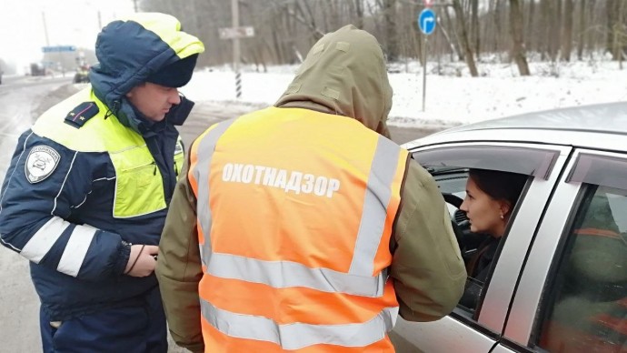 Тульские инспекторы предупредили водителей о диких животных на дорогах