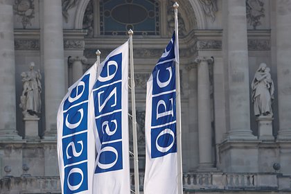 В МИД оценили текущую роль России в ОБСЕ