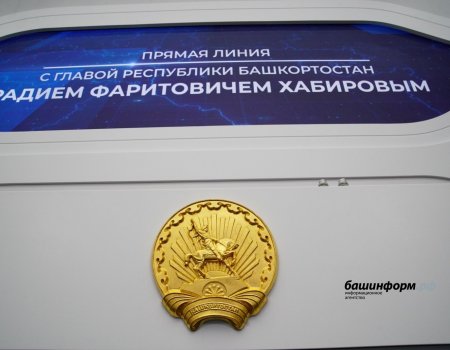 В селе Месягутово Башкирии построят ледовый дворец