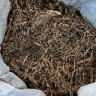В Бурятии 18-летний парень шатался по перегону с марихуаной