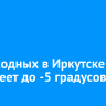 На выходных в Иркутске потеплеет до -5 градусов