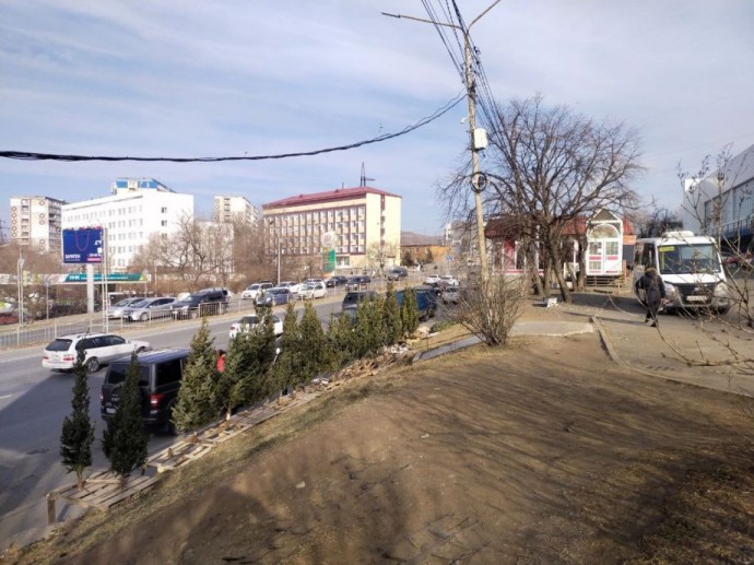 Новогодний черный рынок продолжается во Владивостоке
