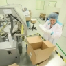 Уровень безработицы в России за 2024 год составит 2,6%