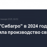 Группа "Сибагро" в 2024 году увеличила производство свинины на 16%