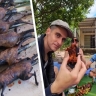 Туристов во Вьетнаме накормили шашлыком из крыс