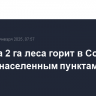 Порядка 2 га леса горит в Сочи, угрозы населенным пунктам нет