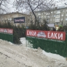 В Новосибирске пресекли незаконную продажу новогодних ёлок