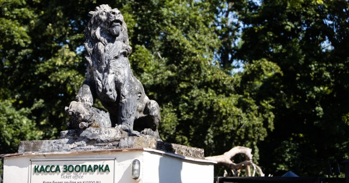 Экспертам не понравился проект реконструкции аквариума в Калининградском зоопарке
