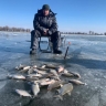 В Астрахани снова непонятное перволедье. Как это скажется на любительской и промышленной рыбалке