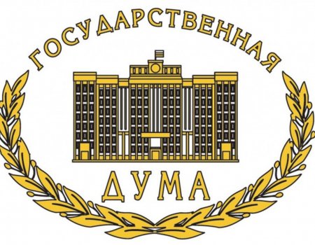В России Госдума рассмотрит законопроекты о защите детей от курения