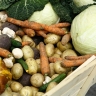 Технолог пищевого производства из Белгорода рушит стереотипы о продуктах...