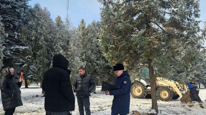 Прокуратура проверит вырубку туй в историко-мемориальном музейном комплексе «Бобрики»