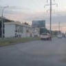 Два астраханца обнесли новогоднюю елку в Братском саду