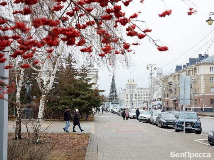 Белгородская область вошла в топ-10 регионов по эффективности госуправления