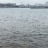 Ушел в магазин и пропал. Что известно о мужчине, которого вытащили из Малой Невки