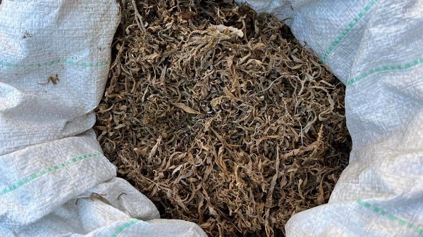 В Бурятии 18-летний парень шатался по перегону с марихуаной