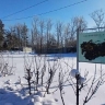 В Завитинске благоустроят сквер при поддержке нацпроекта
