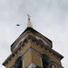 Эксперты одобрили проект реставрации Кафедрального собора в Перми