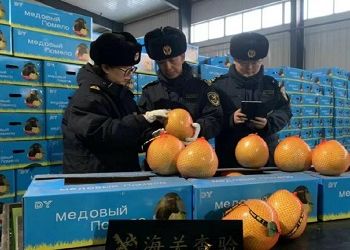 Внешний товарооборот Хэйхэ вырос в 2024 году — увеличился экспорт