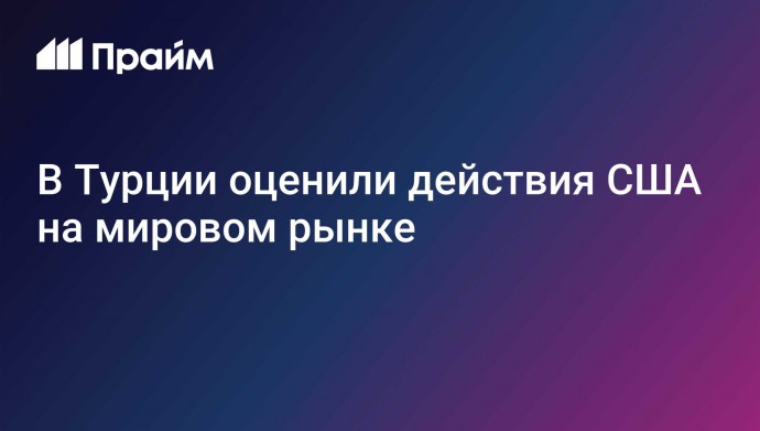 В Турции оценили действия США на мировом рынке