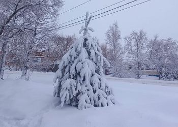 Морозы в Амурской области уйдут за -40