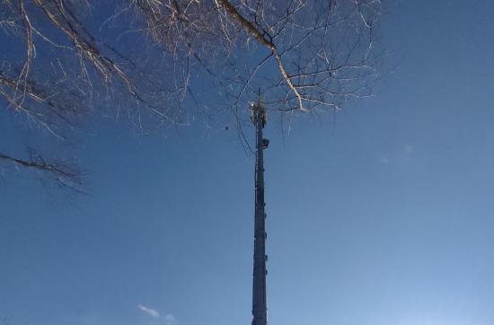 МегаФон «разогнал» 4G для жителей и дачников Усть-Илимска