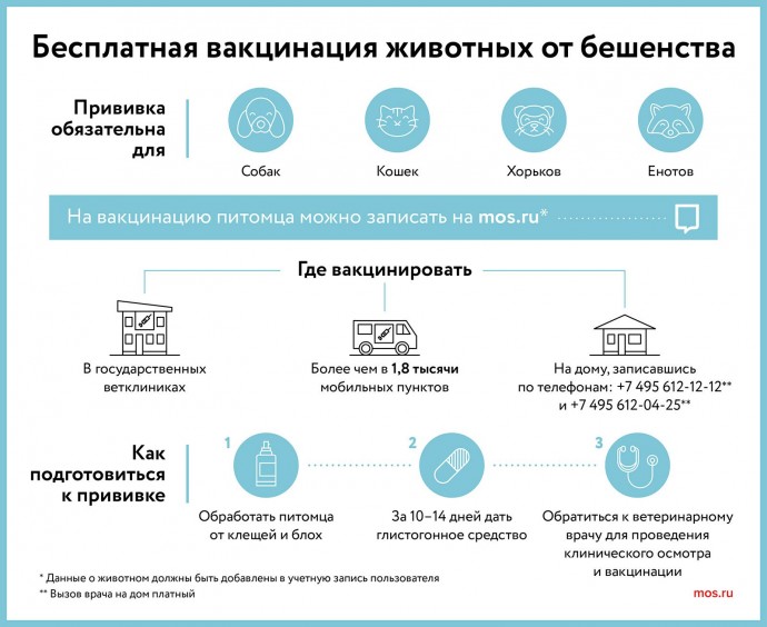 Бесплатная вакцинация животных от бешенства