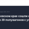 В Хабаровском крае сошли с рельсов 39 полувагонов с углем