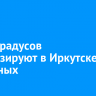 До -8 градусов прогнозируют в Иркутске на выходных
