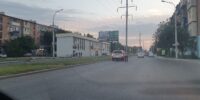 Два астраханца обнесли новогоднюю елку в Братском саду