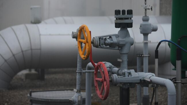 В МИД рассказали о росте поставок российского газа в Европу в 2024 году