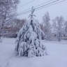 В Приамурье ударят морозы до -30°