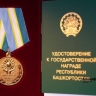 Семь семьей в Башкирии получат 100 тысяч рублей за заслуги в воспитании детей