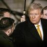 Устранит ли Трамп Зеленского?