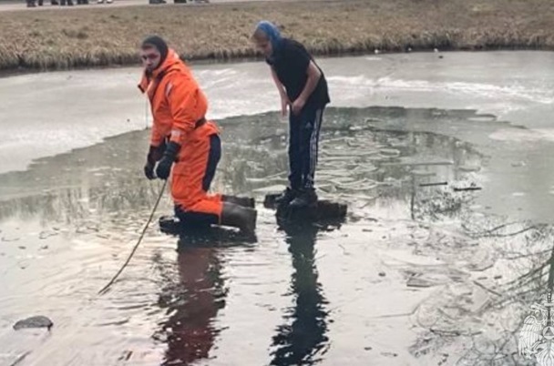 В Москве сотрудники МЧС спасли мальчика в Битцевском парке