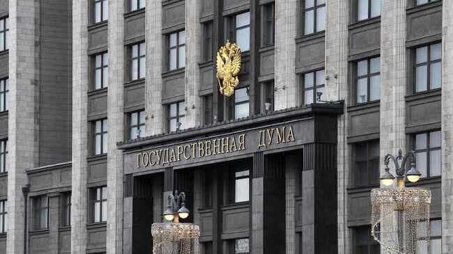 В Госдуме оценили необходимость миротворцев на Украине