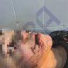 Ребенок просил не забирать собаку: мама покусанного в Уфе ребенка рассказала подробности нападения