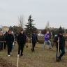 В Джанкойском районе высадили деревья на Аллее памяти погибших в СВО
