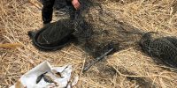 Свежую рыбу и икру на рынках Астрахани министр назвал браконьерской