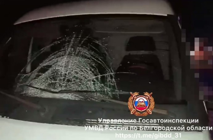 В Старом Осколе «Газель» сбила женщину, которая впоследствии умерла в больнице