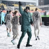 Трошечкин: «Краснодар» идёт по чемпионскому графику»